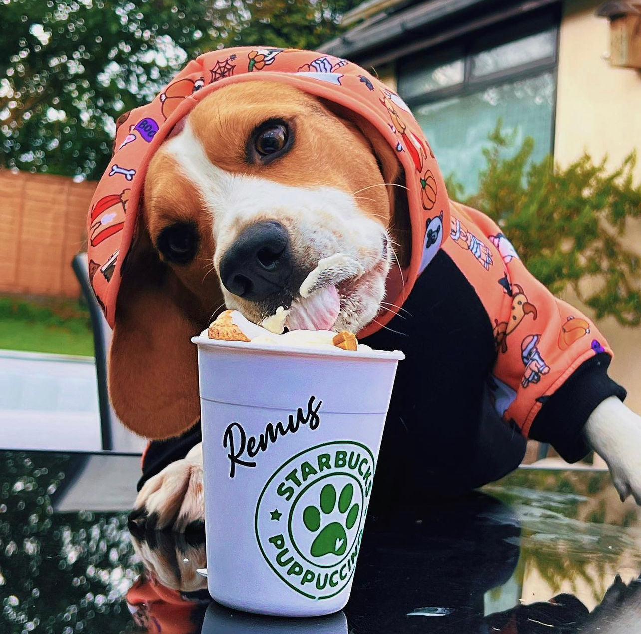 Personalised puppuccino Pup cups