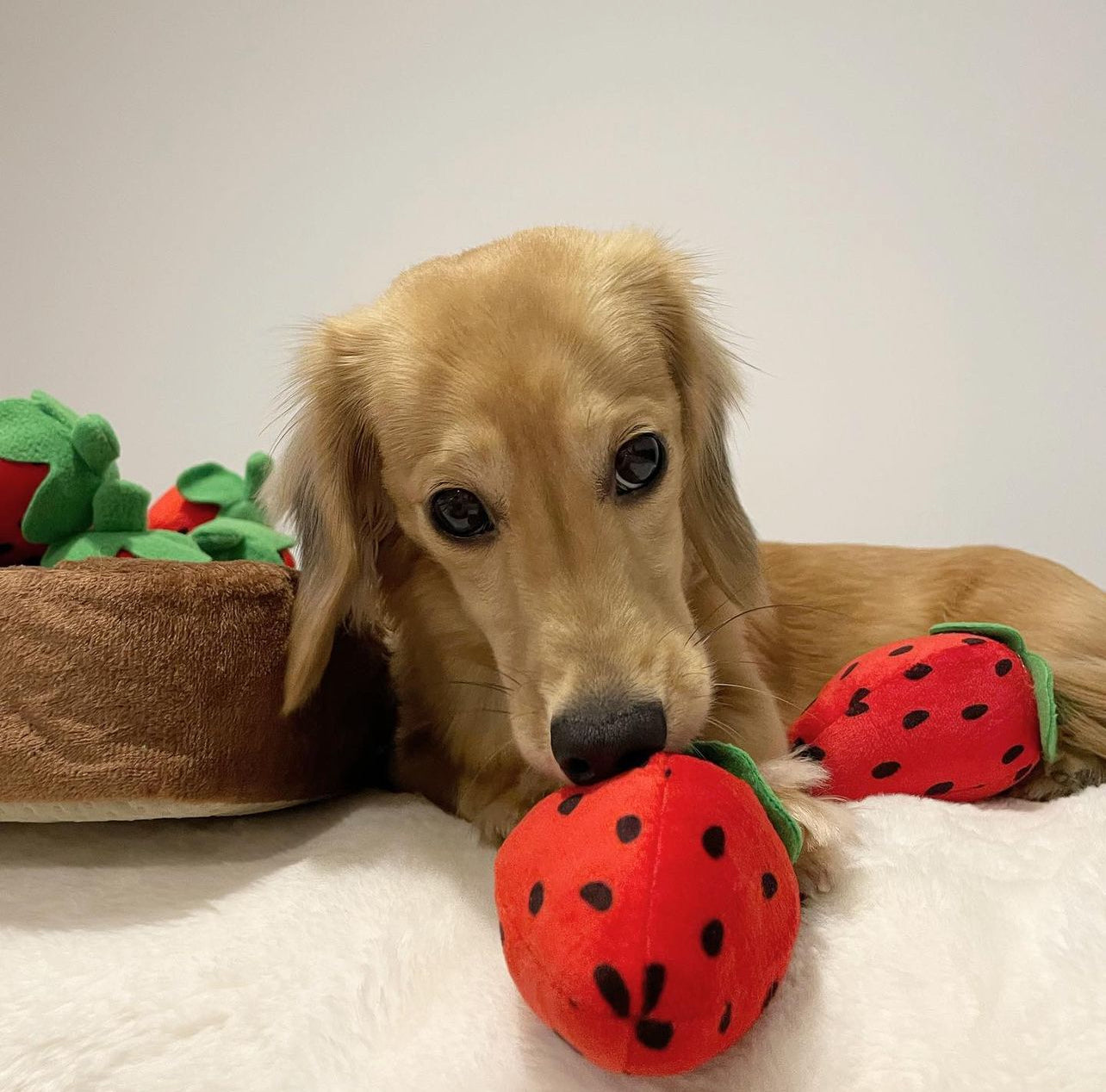 Strawberry Patch snuffle Mat