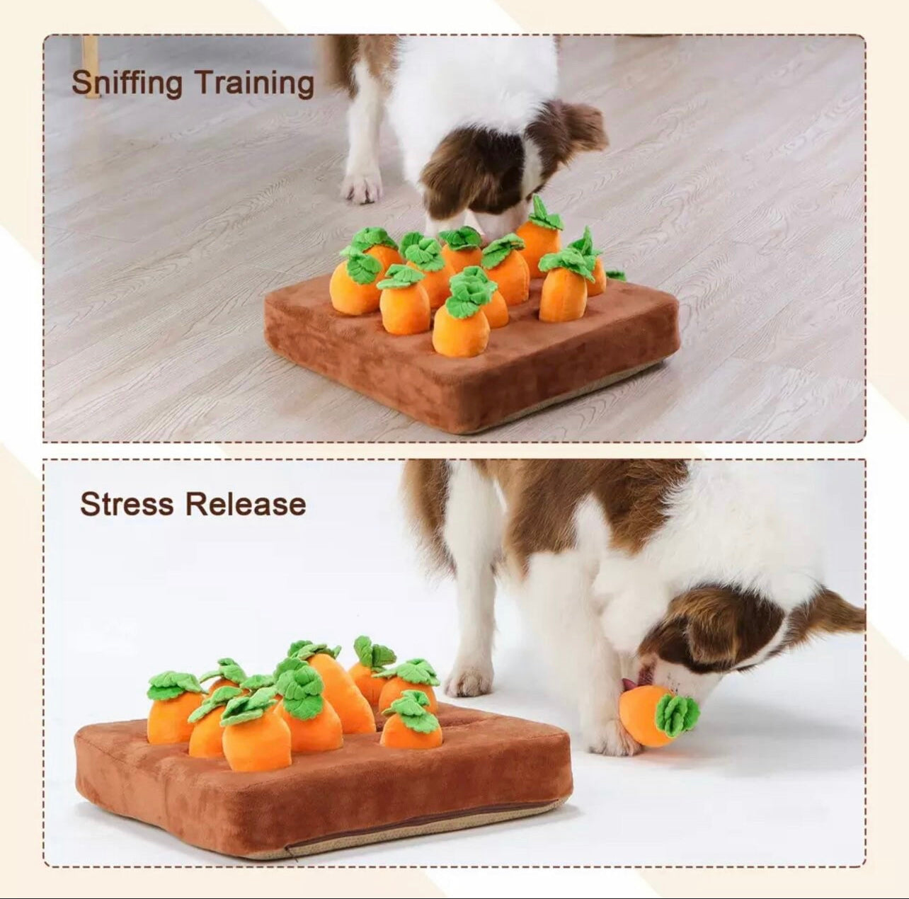 Carrot Patch Snuffle Mat