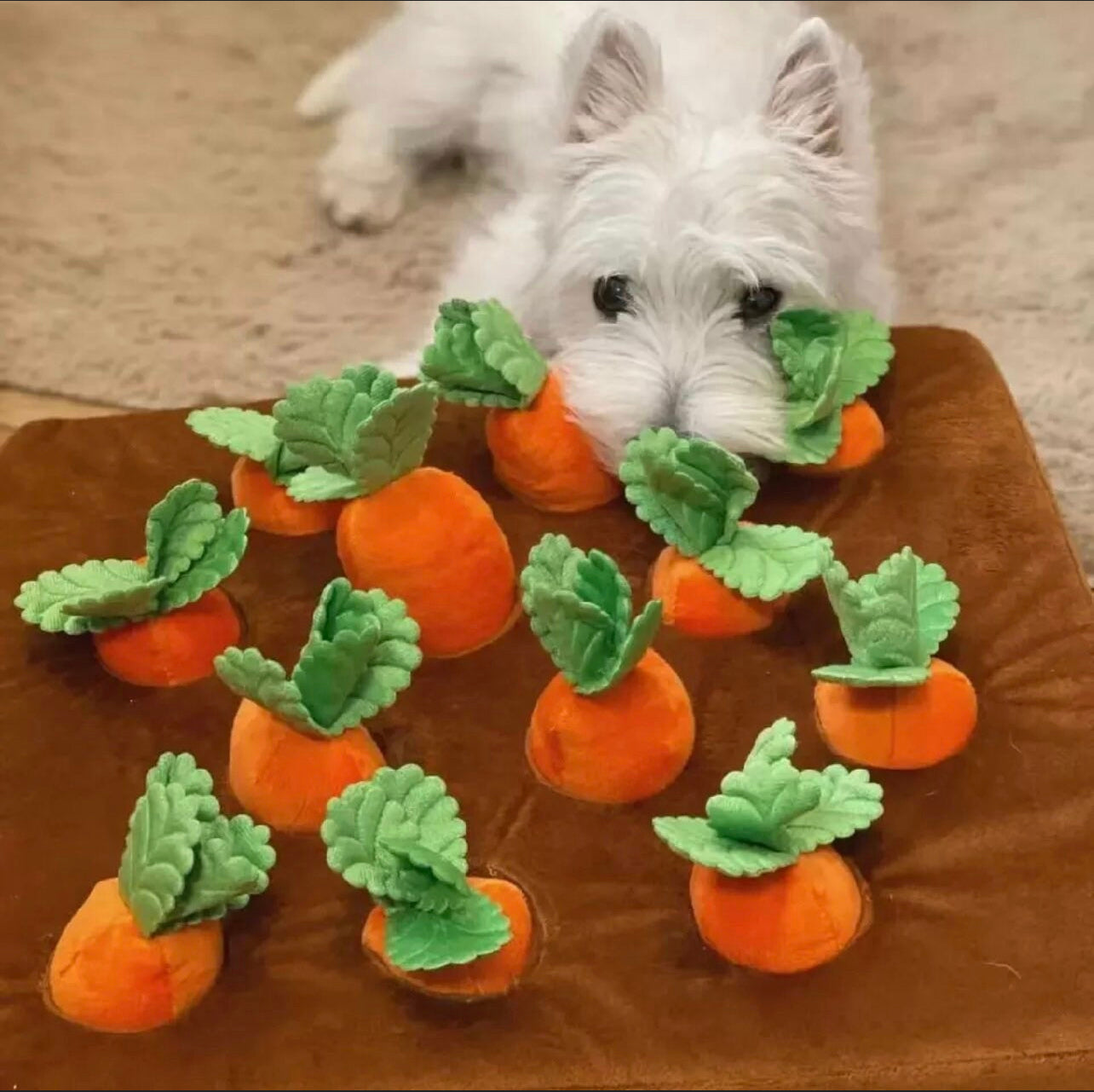 Carrot Patch Snuffle Mat